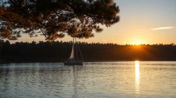 Top activités au camping Antioche d'Oléron pour des vacances mémorables