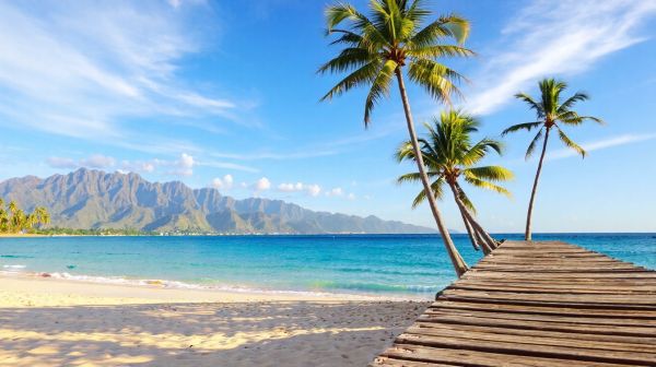 Top attractions et secrets à explorer en république dominicaine