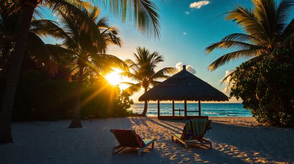 Top attractions et secrets à explorer en république dominicaine