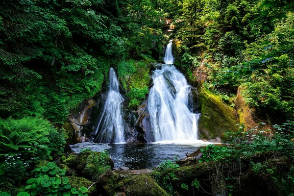 Quelles croisières offrent des randonnées pour observer les cascades en Norvège?