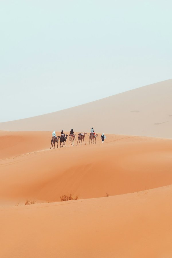 Comment organiser une expédition de trek dans les montagnes de l'Annapurna, Népal : itinéraires et matériel nécessaire ?