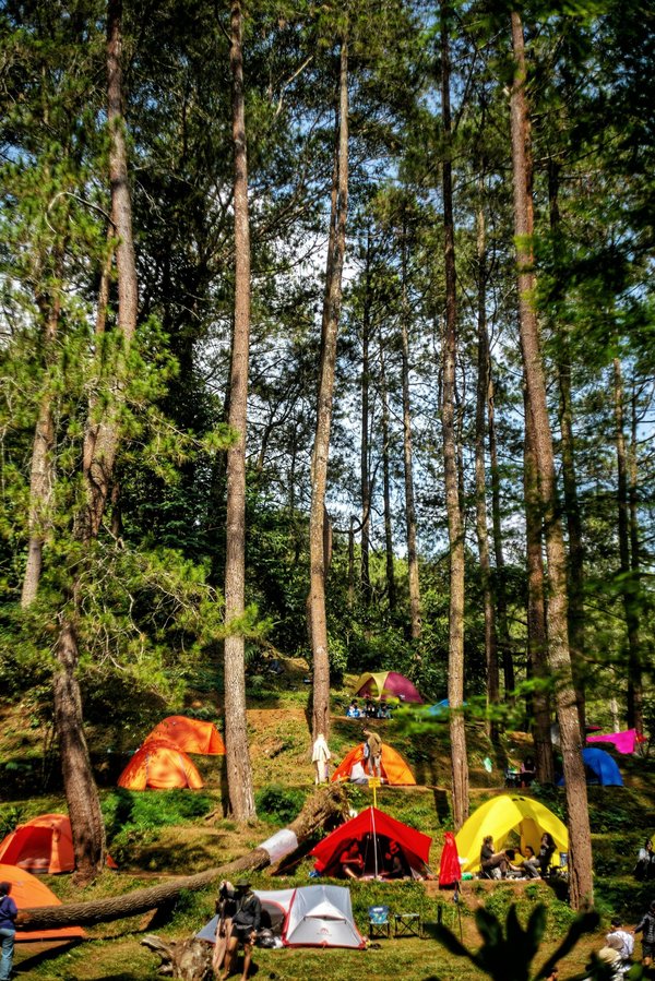Séjournez au camping familial de rêve dans le pays basque